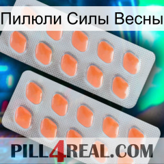 Пилюли Силы Весны 27